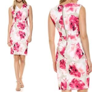 Calvin Klein Cream & Pink Floral V-Neck A-Line Sheath Dress Formal Size 2 Petite